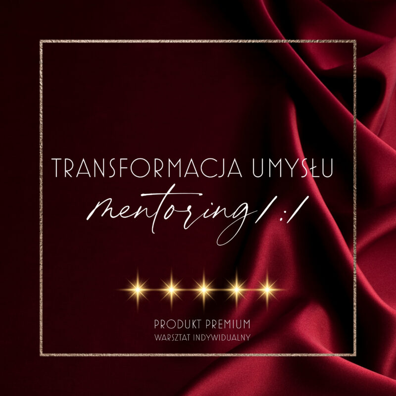 TRANSFORMACJA UMYSŁU: MENTORING 1:1