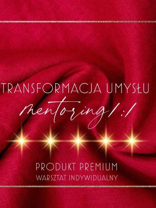 TRANSFORMACJA UMYSŁU: MENTORING 1:1