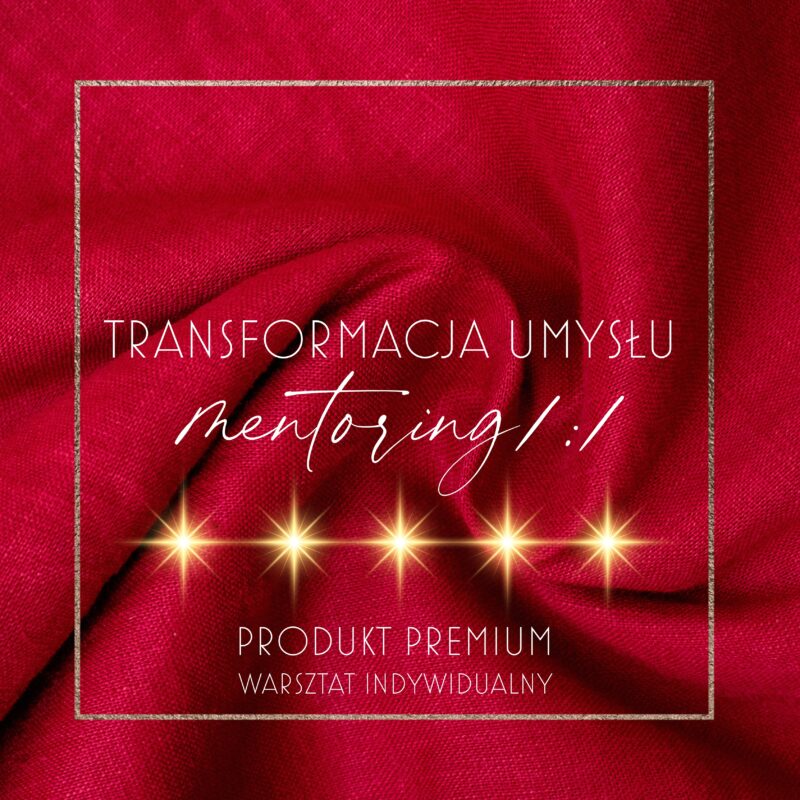 TRANSFORMACJA UMYSŁU: MENTORING 1:1